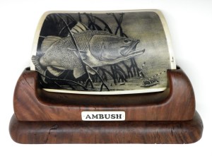 Ambush Barramundi Scrimshaw
