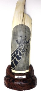 Giraffe Scrimshaw