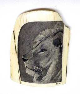 Lion Scrimshaw
