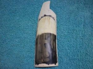 Giraffe Scrimshaw: Step 2