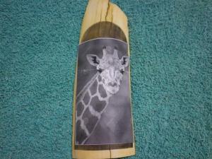Giraffe Scrimshaw: Step 6