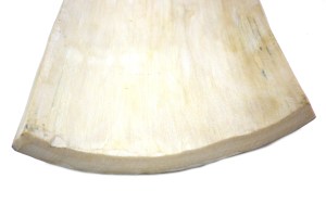 Mammoth Ivory Cut End