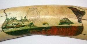 Step 4: Tiger In Water Scrimshaw After 52 Hours