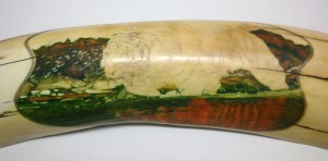 Step 5: Tiger In Water Scrimshaw After 60 Hours