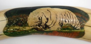 Step 7: Tiger In Water Scrimshaw After 75 Hours