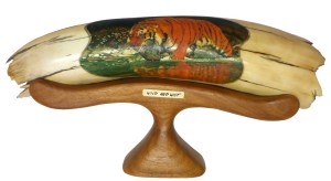 Tiger Scrimshaw - "Wild and Wet"