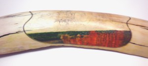 Step 2: Tiger In Water Scrimshaw After 36 Hours