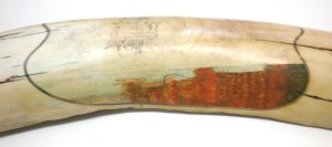 Patched Area Of Tiger In Water Scrimshaw