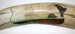 Step 3: Tiger In Water Scrimshaw After 45 Hours