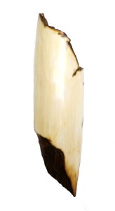 Sanded Ivory for Parrot Scrimshaw