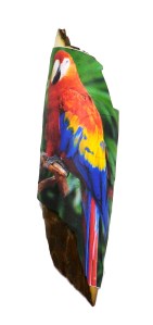 Parrot Scrimshaw During Acetone Transfer