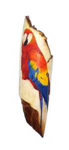 Parrot Scrimshaw With Body and Wing Done
