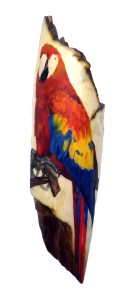 Parrot Scrimshaw With Tail and Branch Added