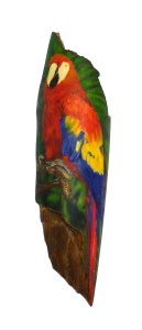 Fully Coloured Parrot Scrimshaw