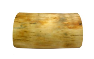 Outside of Ivory for Bamboo Tiger