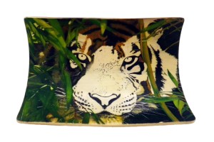 Bamboo Tiger Scrimshaw Top of Head Added