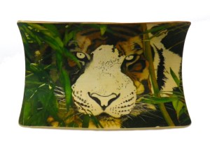 Bamboo Tiger Scrimshaw Right Side of Face Started