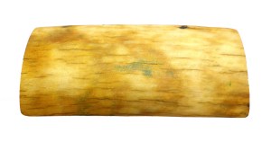 Finches Scrimshaw Back of Ivory