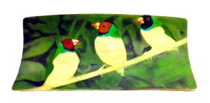 Finches Scrimshaw Heads, Necks and Wings Added