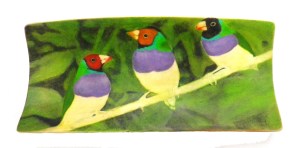 Finches Scrimshaw With Chests Added