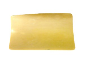 Ivory for Bee Scrimshaw