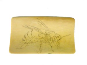 Bee Scrimshaw Basic Outline Added