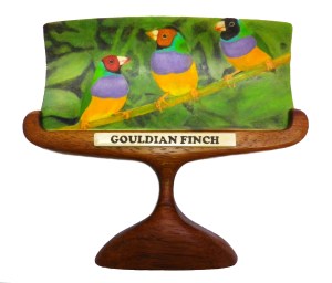 Gouldian Finches Scrimshaw Finished