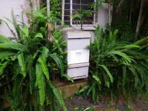 Inspirational Bee Hive