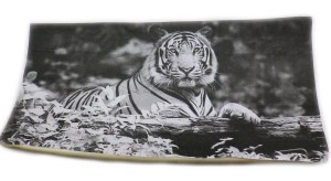 Ivory With Reference Image Applied