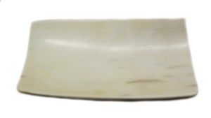 Polished Mammoth Ivory