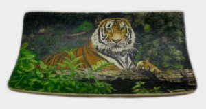 Finished Tiger Scrimshaw