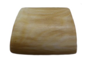 Polished Ivory