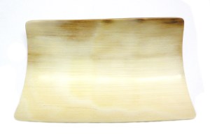 Polished Ivory
