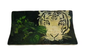 Left Hand Background Added