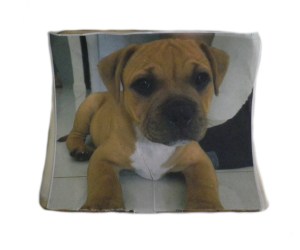 Image Attached to Ivory