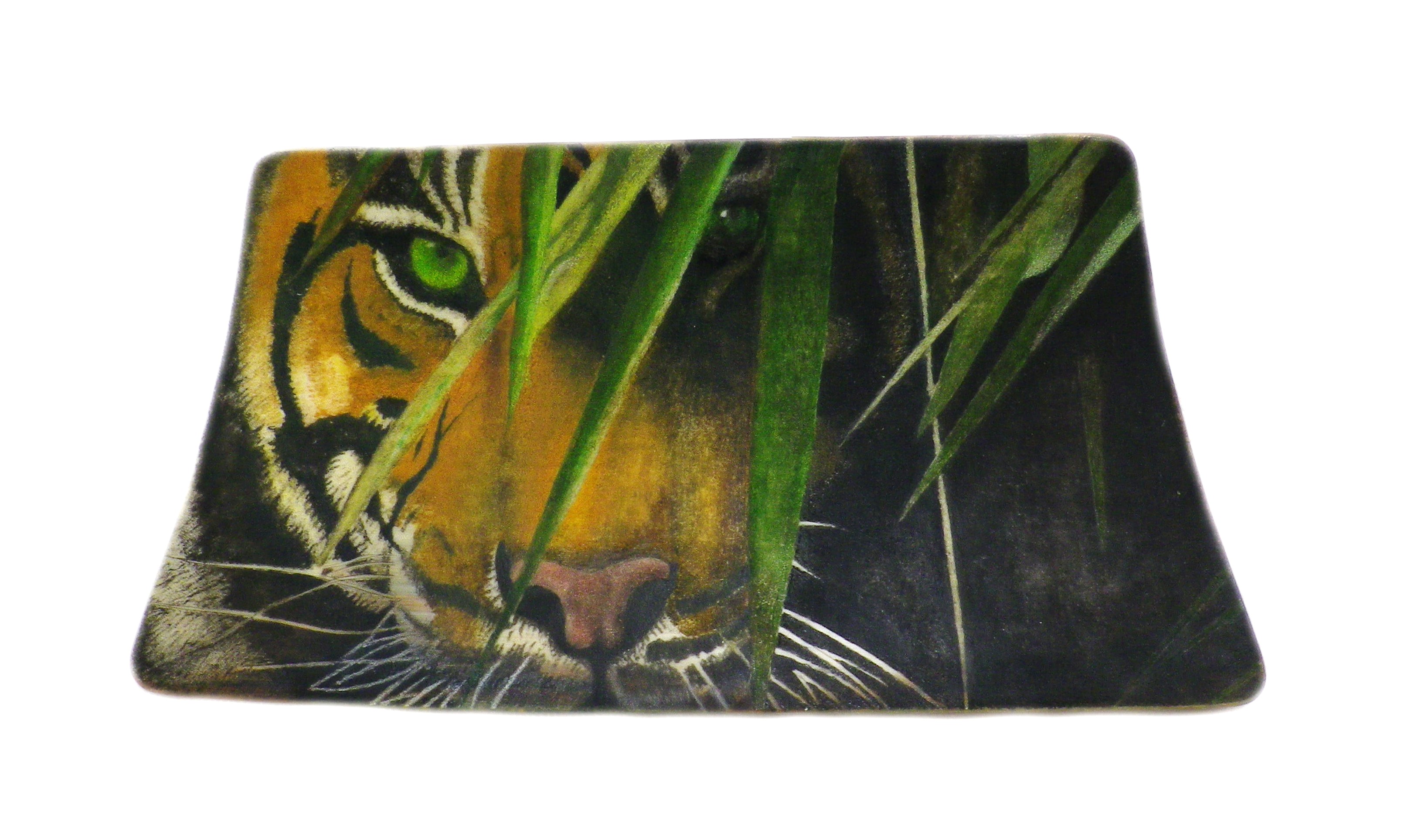 Predator Tiger Scrimshaw (4)