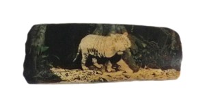 Colour Added to Background