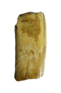 Ivory With Image Attached