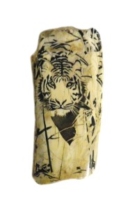 Black Outlines Added