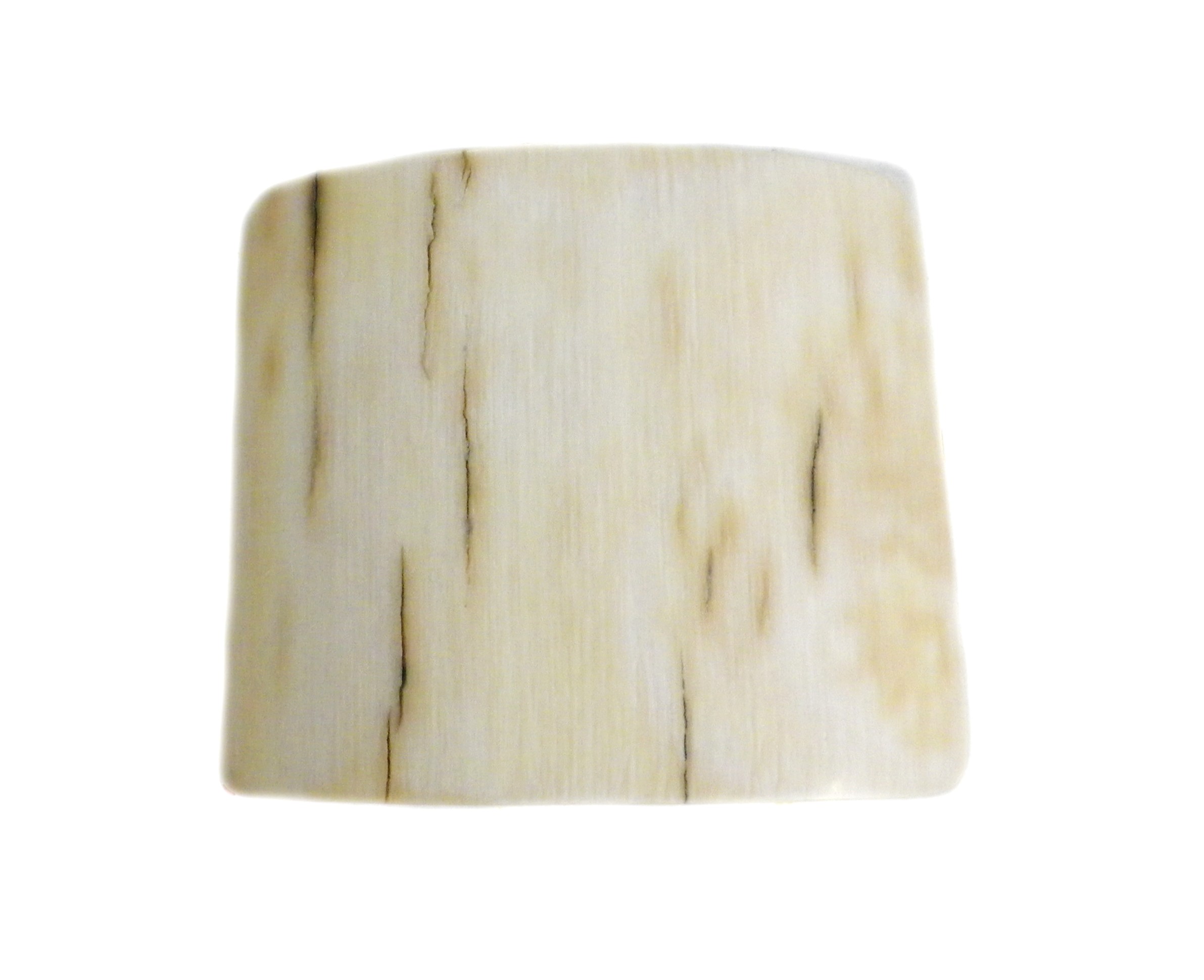 Polished Ivory