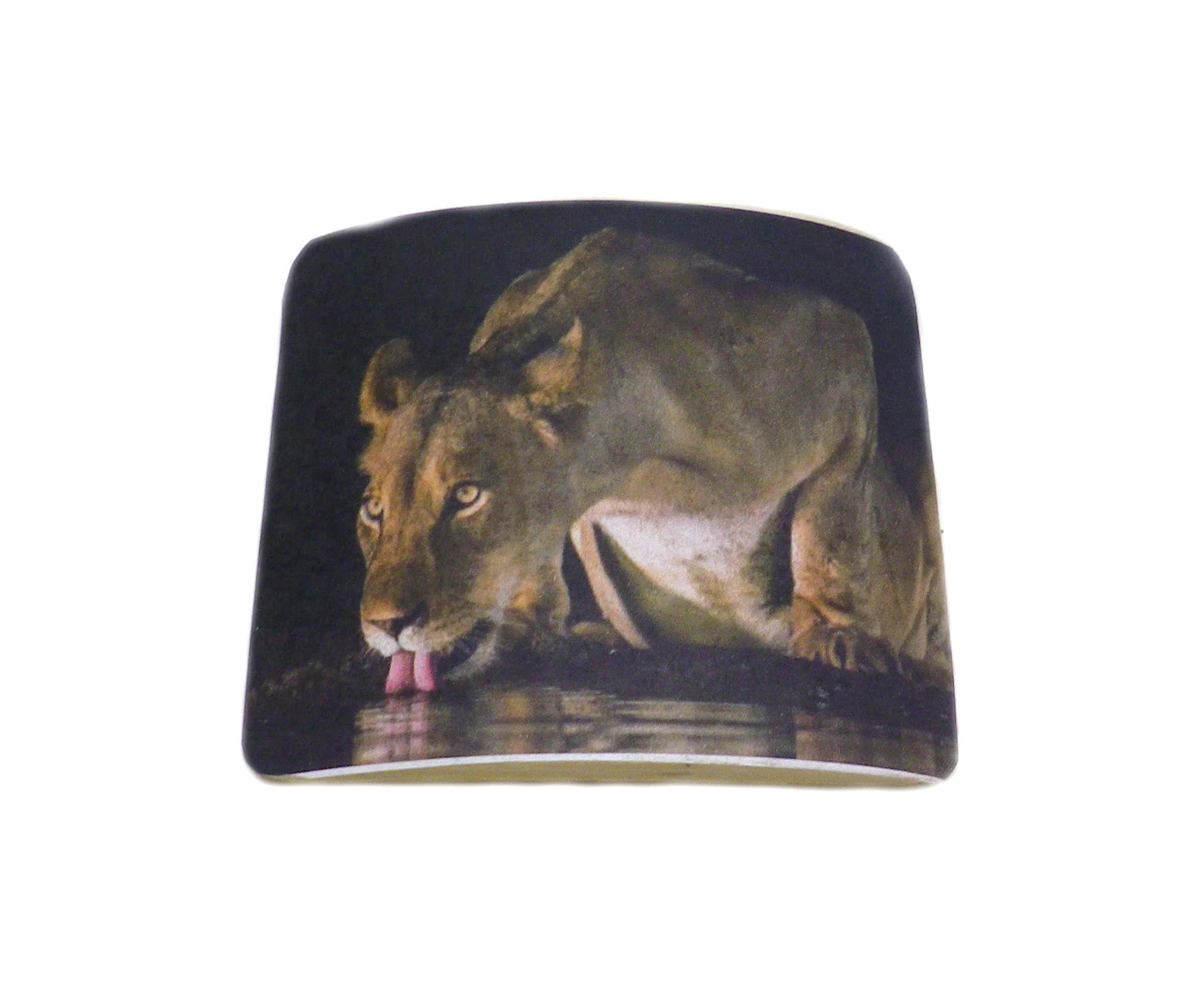 Ivory With Image Attached