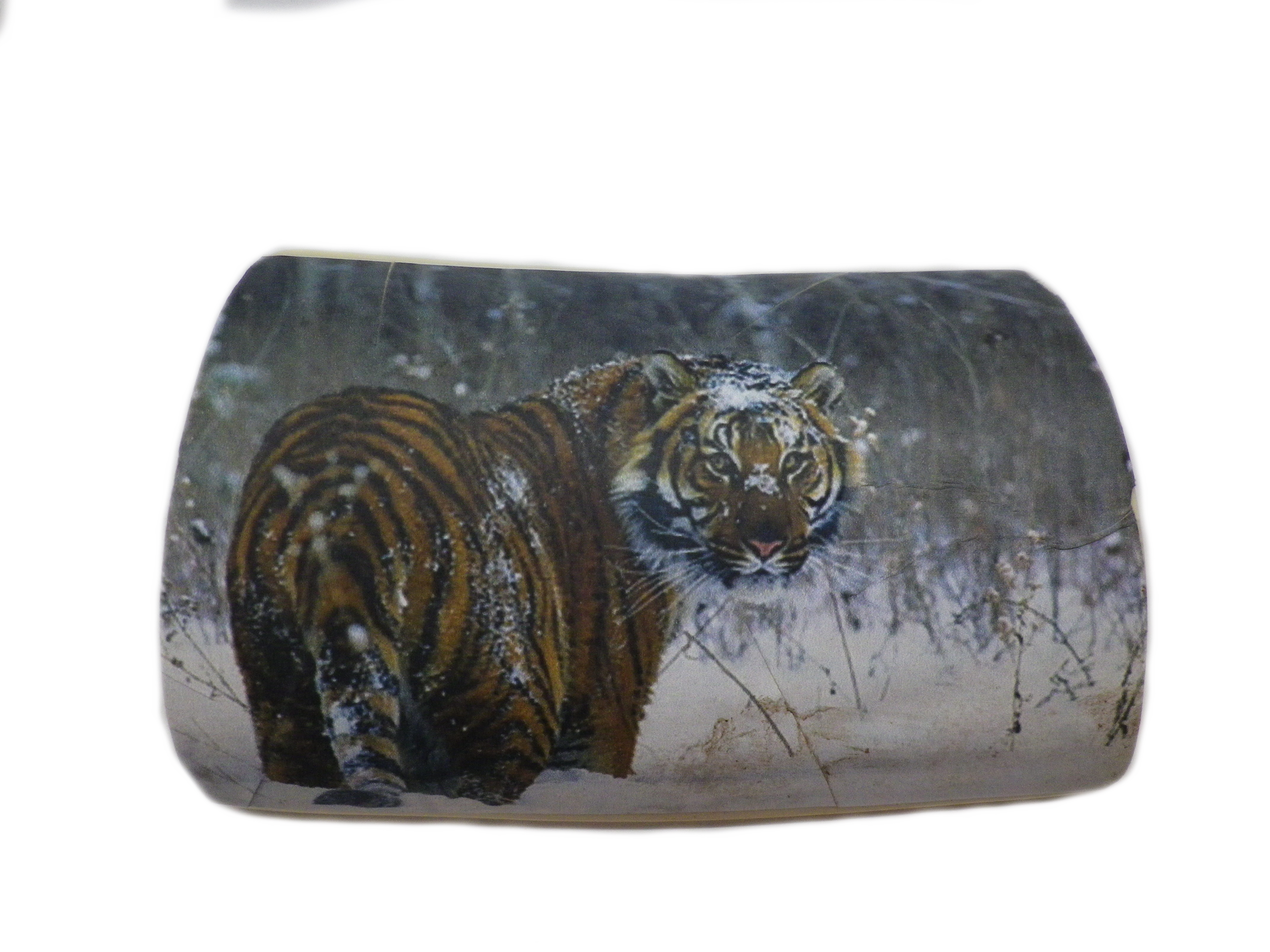 Ivory With Image Attached