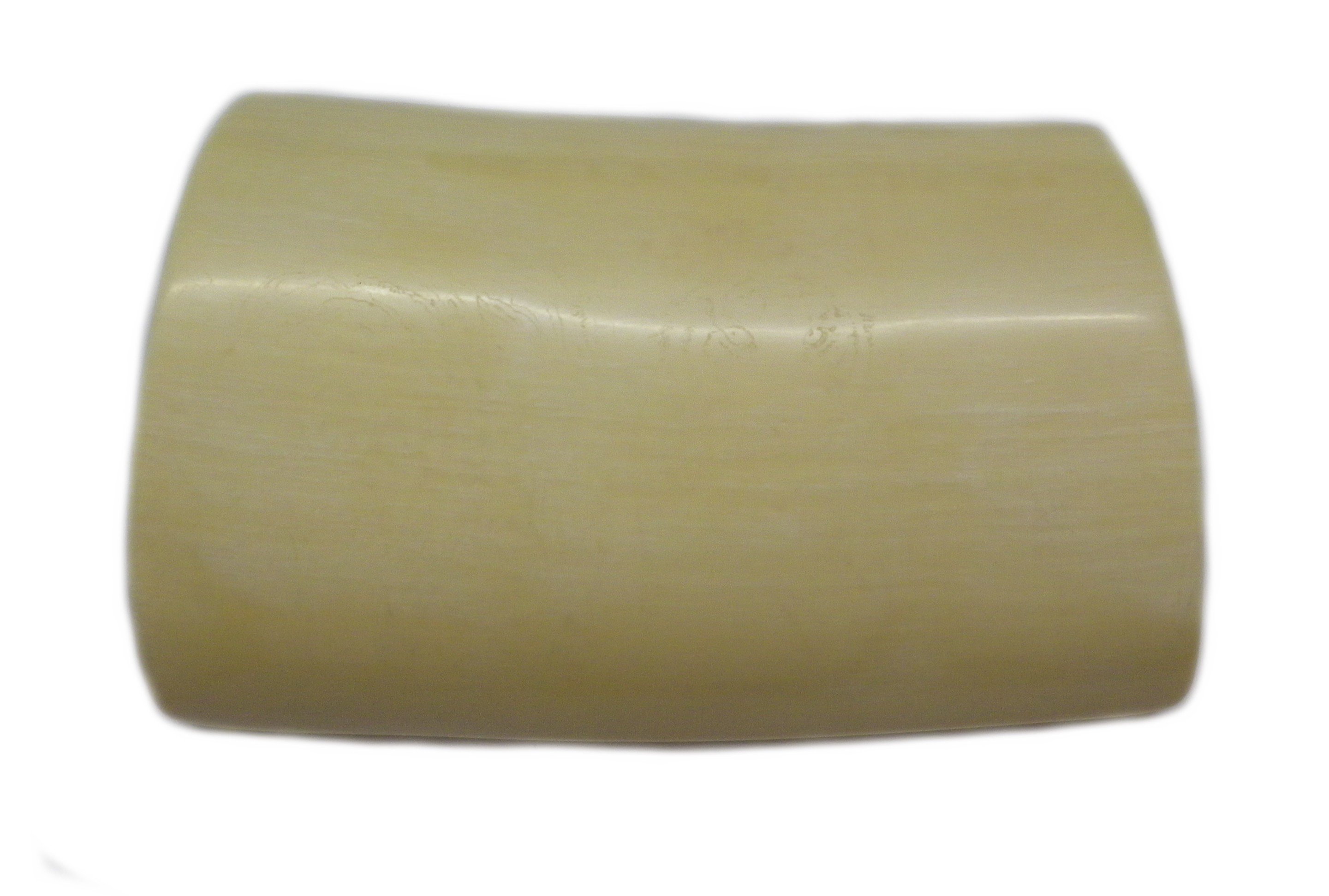 Polished Ivory