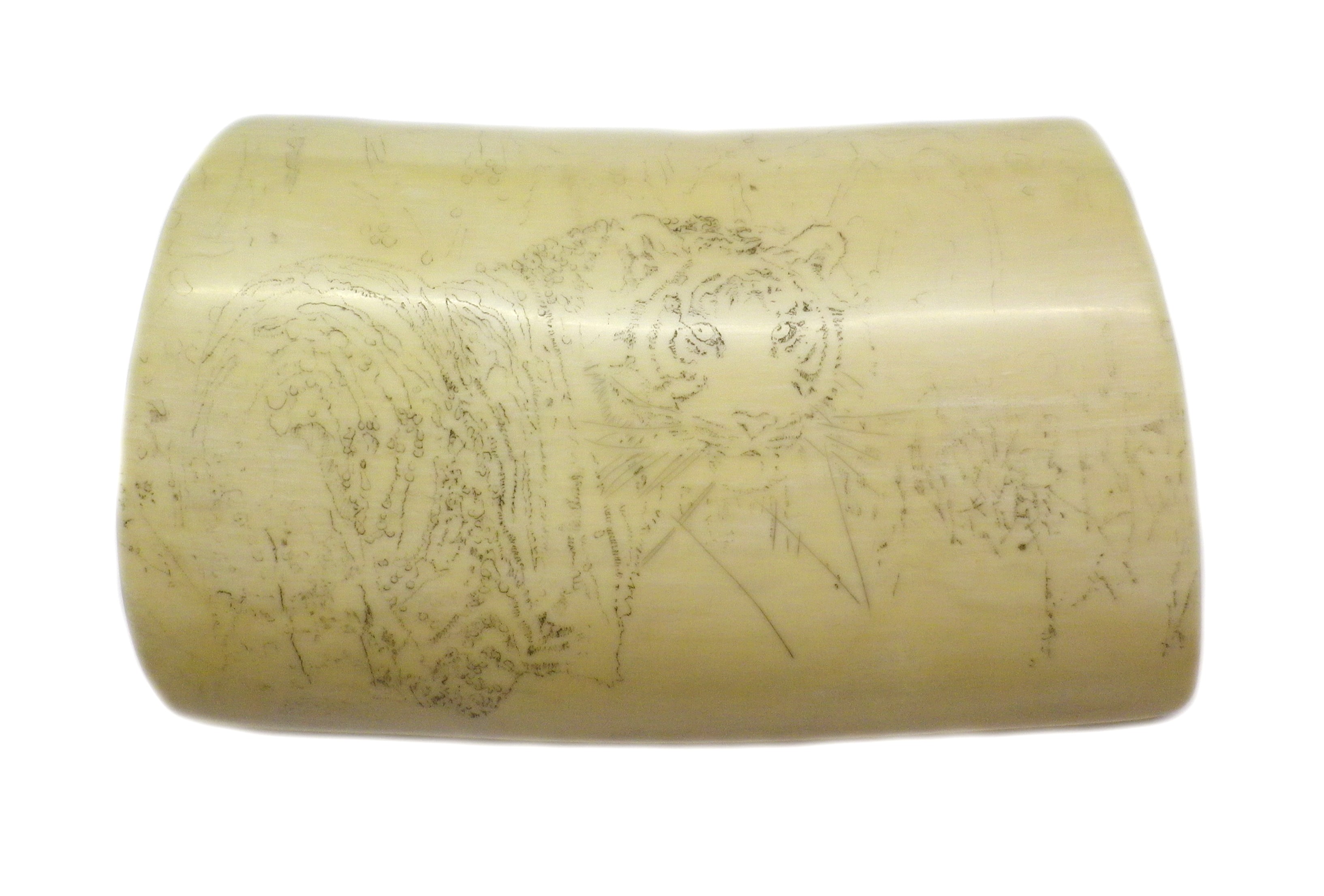 Ivory With Outline Etched