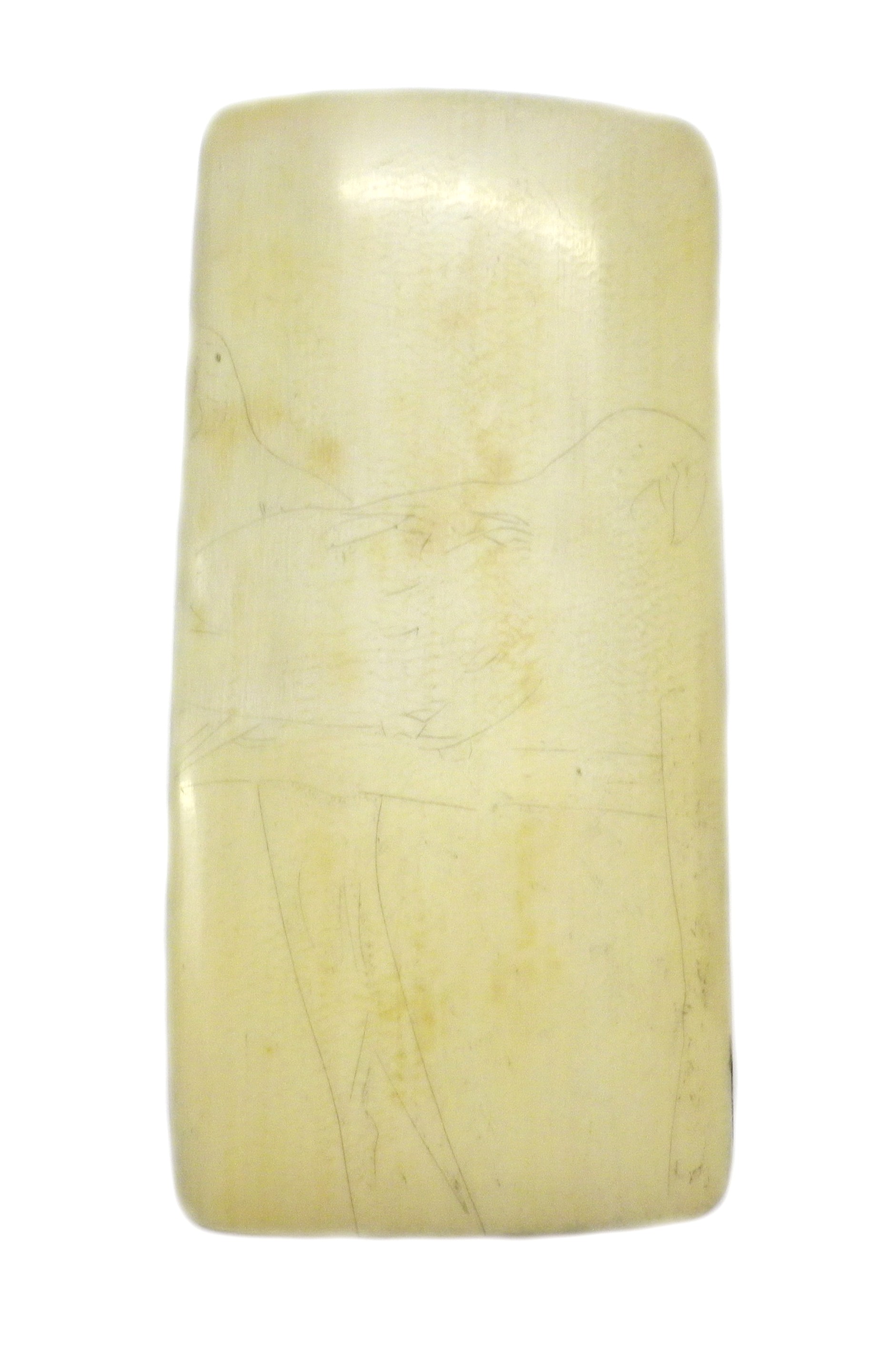 Ivory With Outline Etched