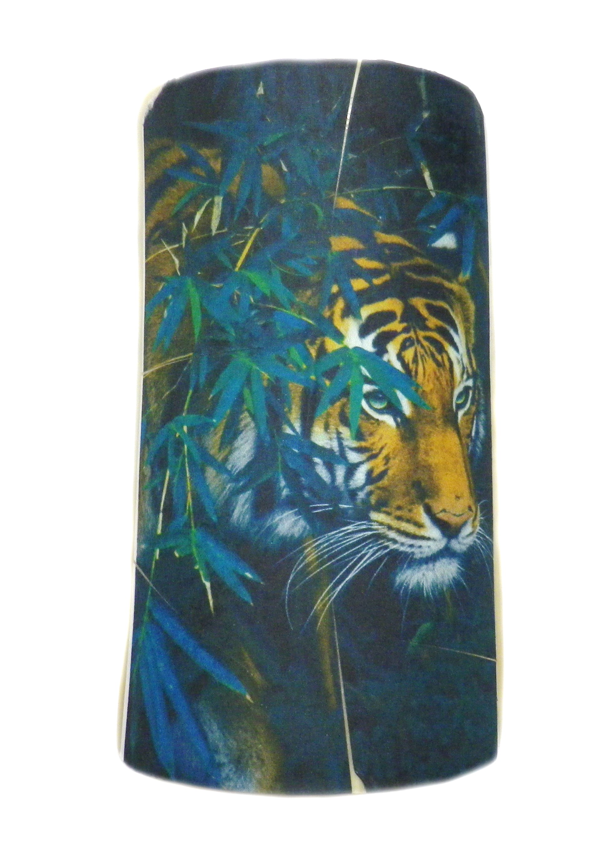 Ivory With Image Attached