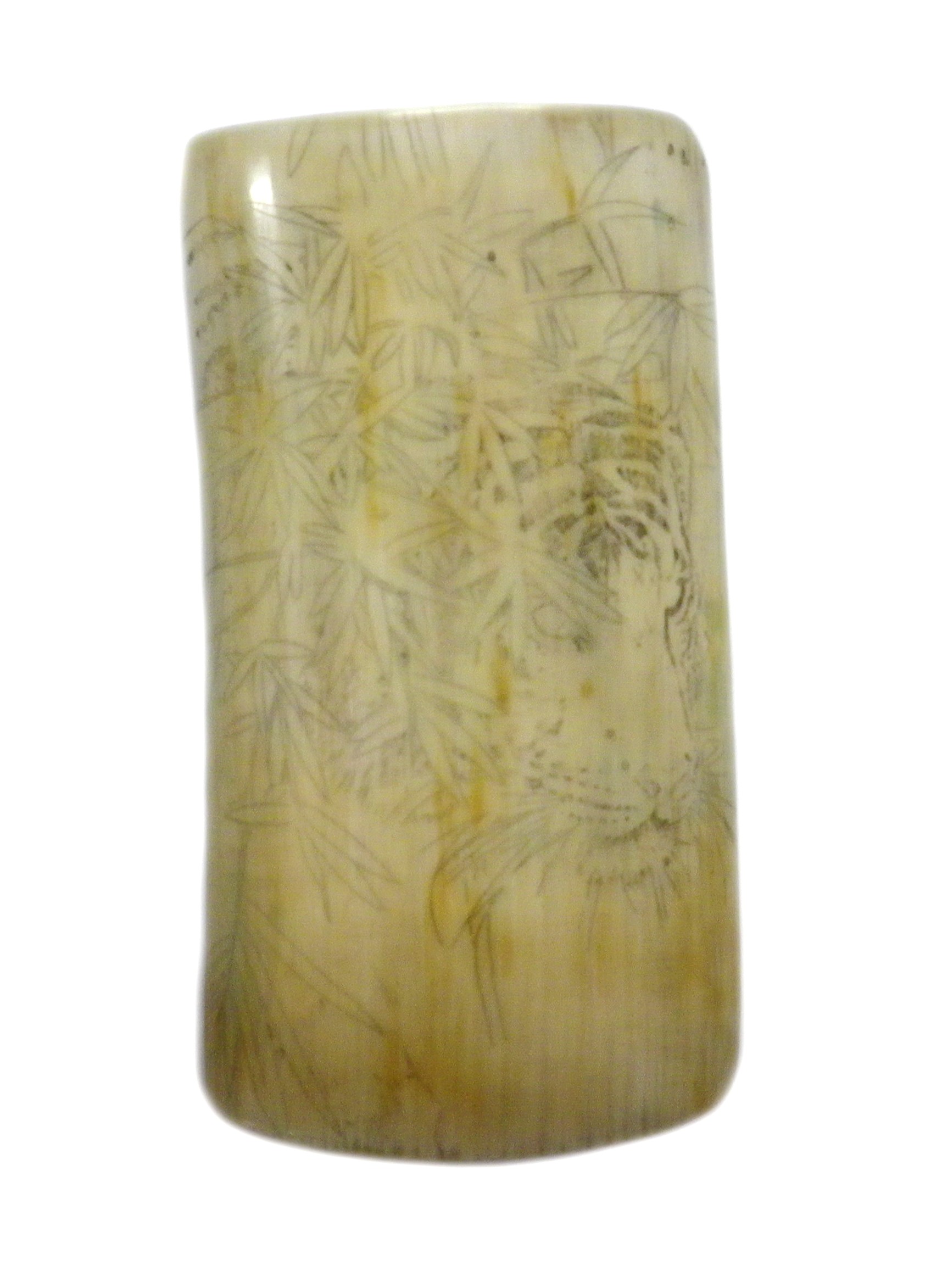 Ivory With Outline Etched