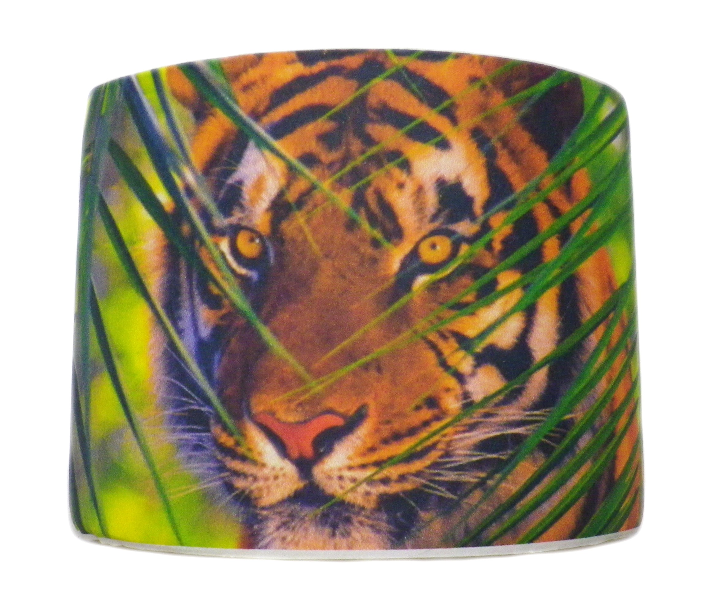 Ivory With Image Attached