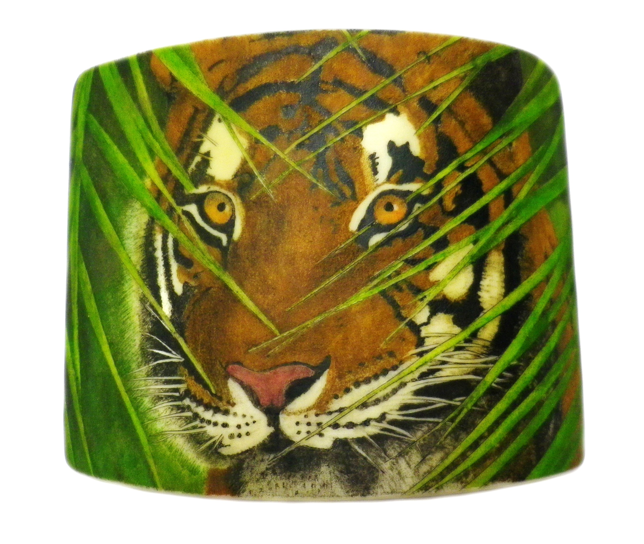 Background and Tiger Added