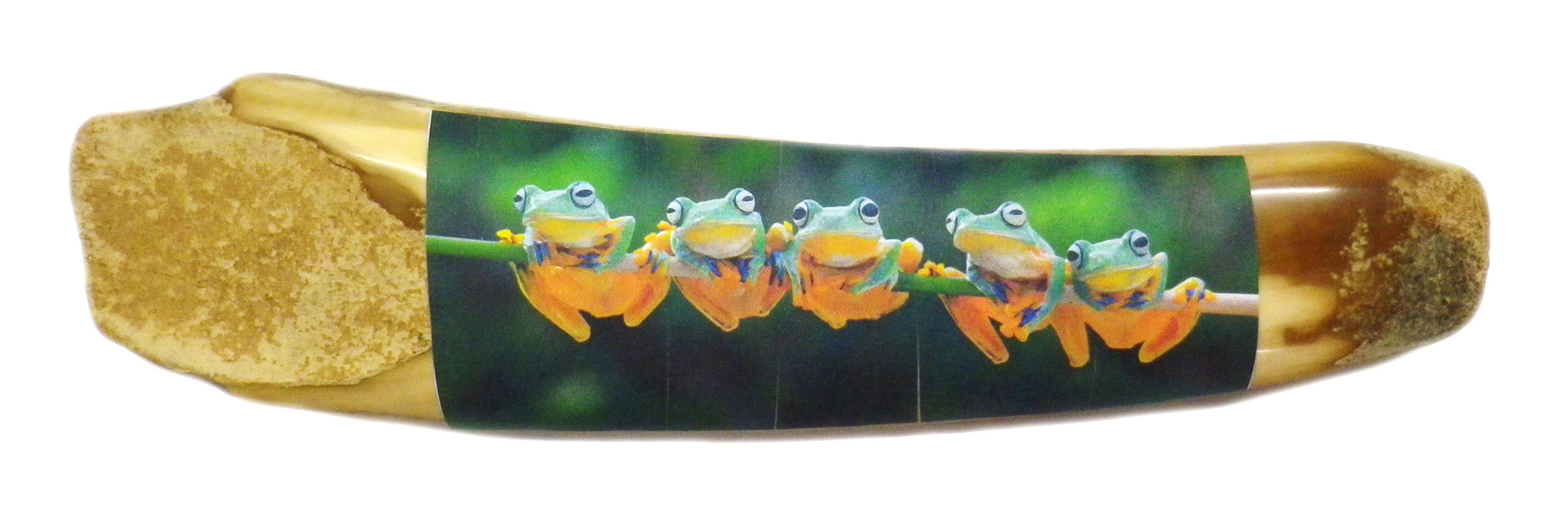 Ivory With Image Attached